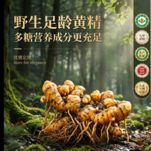 AI影视与动效渲染